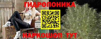 apvp Коммунар