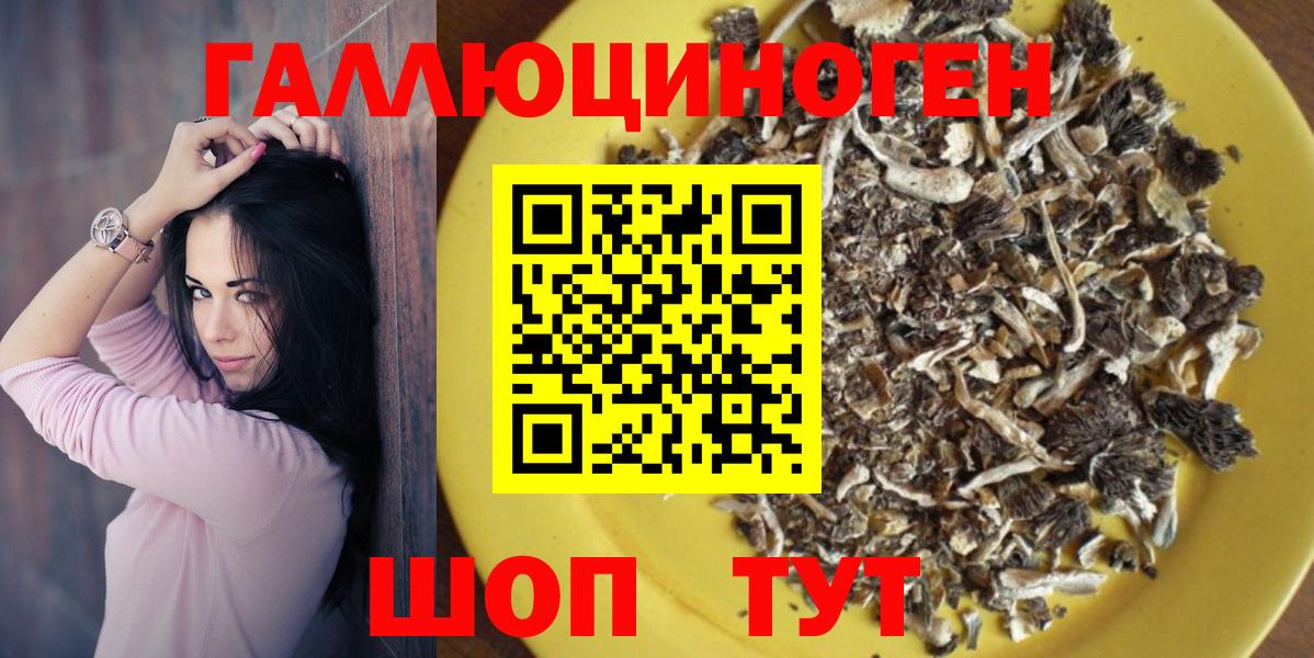 Псилоцибиновые грибы мицелий  Псилоцибиновые грибы Cubensis  Вход с VPN  Зеленогорск 